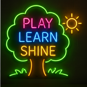 Play learn shine