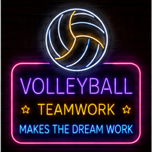 VollyBall